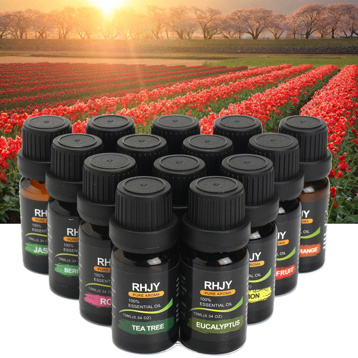 Essential Oil Set